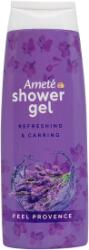  Ameté SG 250ml Feel Provence
