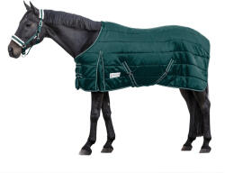 WALDHAUSEN Katinai takaró ló számára Waldhausen Economic 200g 125 CM zöld