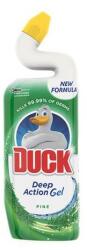 DUCK Toalett tisztító gél DUCK pine 750ml (24062103)