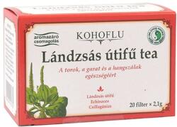 Dr. Chen Patika Herbatea DR CHEN Kohoflu lándzsás útifű 20 filter/doboz