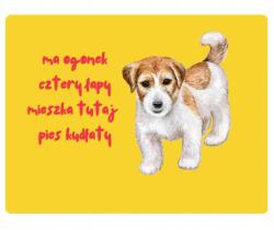 Bertoni Bozontos Tábla 20x28 cm (5905342648123)