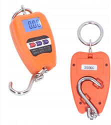  200 kg-os Függő Darumérleg Ipari Horoggal (1014220022411)