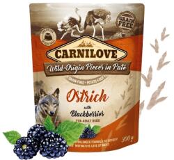 CARNILOVE Strucc szederrel 12x300 g