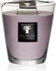 Baobab Collection Lumânare parfumată All Seasons White Rhino 16 cm (MAX16AWR)