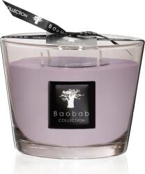 Baobab Collection Lumânare parfumată All Seasons White Rhino, 10 cm (MAX10AWR)