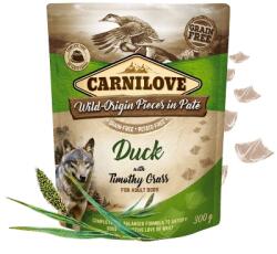 CARNILOVE Paté Duck with Timothy Grass 12x 300g