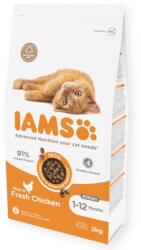 Iams macskakölyöknek csirke 2 kg
