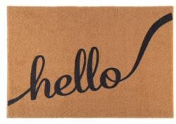 Galicja Lábtörlő Bejárat Az Ajtó Alá Galicja Walter WZ2 Hello (01811)