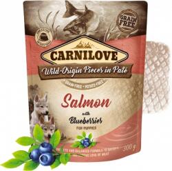 CARNILOVE Lazac áfonyával kölyökkutyáknak 12x300 g