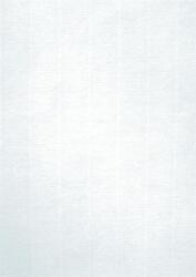 APLI Előnyomott papír, A4, 220 g, APLI, törtfehér (LCA12130) - irodasziget