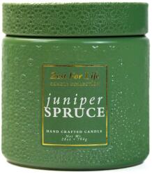 Cheerful Candle Cheerful Candle® Zest for Life Juniper Spruce nagy üveggyertya 794 g