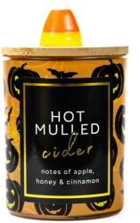Cheerful Candle Cheerful Candle® Seasonal Hot Mulled Cider közepes üveggyertya 283 g