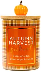 Cheerful Candle Cheerful Candle® Seasonal Autumn Harvest Festival közepes üveggyertya 283 g