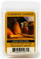 Cheerful Candle Cheerful Candle® Honey Pear Cider mini viasz 55 g