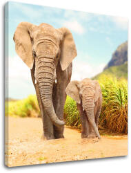  Falfestmény ANIMALS_049-12