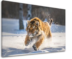  Falfestmény ANIMALS_048-11