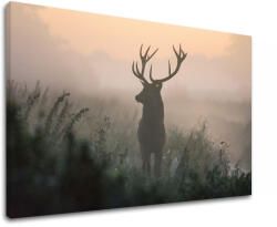  Falfestmény ANIMALS_054-11