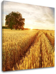  Falfestmény LÚKA_053-12