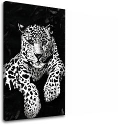  A kép vásznon GEPARD 001