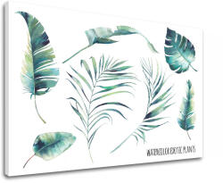  Wall art szöveggel Akvarell egzotikus növények