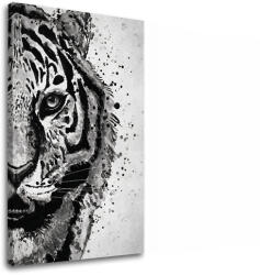  A kép a vásznon TIGER 001