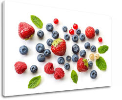  Falfestés OVOCIE_094-11