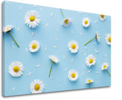  Fali festmény WHITE FLOWERS_163-11