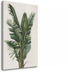 A kép a vásznon PLANTS 007