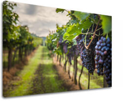  Falfestmény HROZNO_091-11