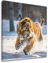  Falfestmény ANIMALS_048-12