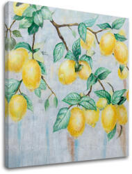 A kép vásznon CITRONS 1 rész XOBCH1840SDE1