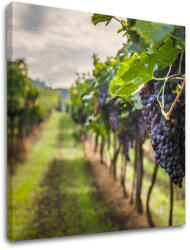  Falfestmény HROZNO_091-12