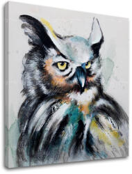 A kép vásznon Bagoly 1 rész XOBCH1279HE1