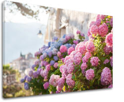  Falfestmény PINK FLOWERS_157-11