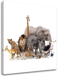  Falfestmény ANIMALS_051-12