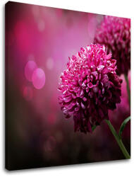  Falfestmény PINK FLOWERS_149-11