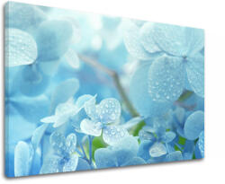  Falfestmény KÉK VIRÁGOK_152-11