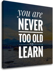  Motivációs faliképek Soha nem vagy túl öreg