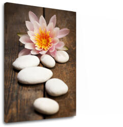 A kép a vásznon FENG SHUI_059-11