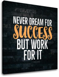 Motivációs falikép a sikerről_006