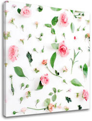  Falfestés ROSES_155-12