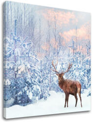  Falfestmény ANIMALS_053-12