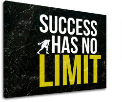  Motivációs falikép a sikerről_009