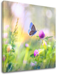  Falfestmény COLORFUL FLOWERS_161-12