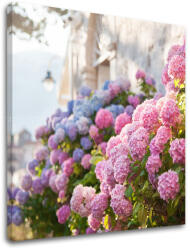  Falfestmény PINK FLOWERS_157-12