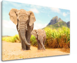  Falfestmény ANIMALS_049-11