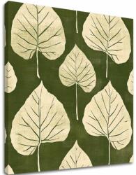 A kép a vásznon Zöld levelek - Botanikai motívum
