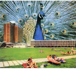 Odessey & Oracle CROCORAMA - facethemusic - 7 190 Ft