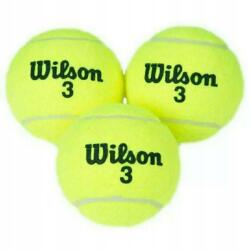Wilson Labda Labdák Edző teniszlabdák Wilson 3 db-os szett (616967755695)