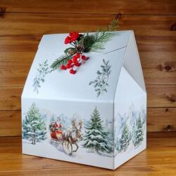  Karácsonyi Díszdoboz Mikulás szános mintával